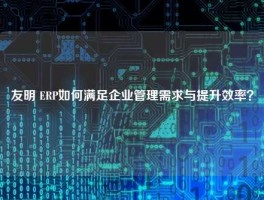 友明 ERP如何满足企业管理需求与提升效率？