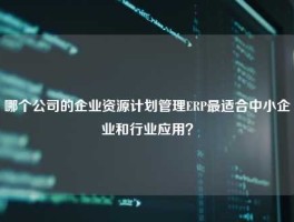 哪个公司的企业资源计划管理ERP最适合中小企业和行业应用？