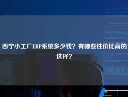 西宁小工厂ERP系统多少钱？有哪些性价比高的选择？