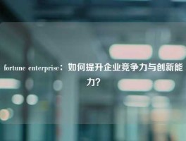 fortune enterprise：如何提升企业竞争力与创新能力？