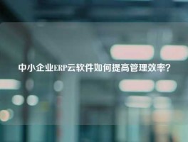中小企业ERP云软件如何提高管理效率？