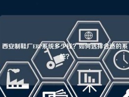 西安制鞋厂ERP系统多少钱？如何选择合适的系统？