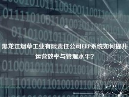 黑龙江烟草工业有限责任公司ERP系统如何提升运营效率与管理水平？
