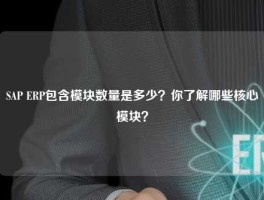 SAP ERP包含模块数量是多少？你了解哪些核心模块？