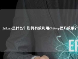 t3rikerp是什么？如何有效利用t3rikerp提升效果？
