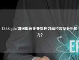 ERP.Sisyphe如何提高企业管理效率和数据分析能力？