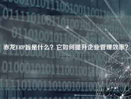 赤龙ERP旨是什么？它如何提升企业管理效率？