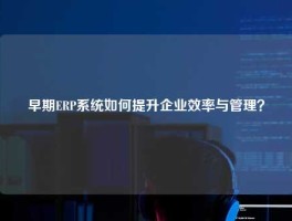 早期ERP系统如何提升企业效率与管理？