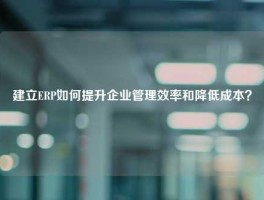 建立ERP如何提升企业管理效率和降低成本？